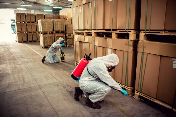 Best Emergency Pest Control  in Grayson, CA