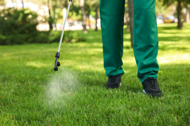 Best Commercial Pest Control Services  in Grayson, CA