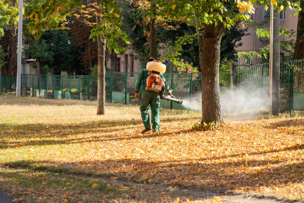 Professional Pest Control in Grayson, CA