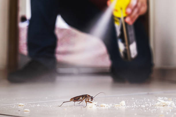 Best Pest Removal Services  in Grayson, CA