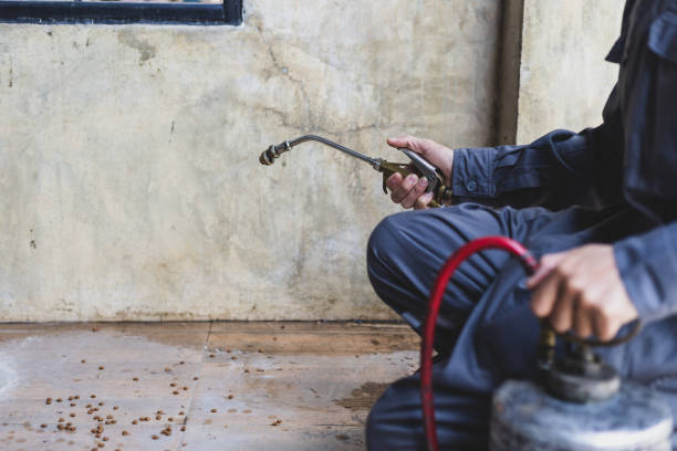 Best Local Pest Control Services  in Grayson, CA